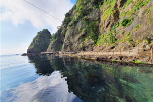 [묵호항] 울릉도 독도 3일 ＜쾌속선/모텔급/육로A,B코스/관음도/카페올라＞