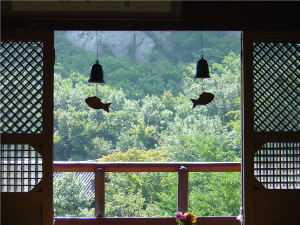 강원도 고성 당일여행 ＜지자체지원특가/해파랑길＞