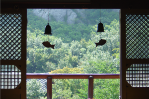 강원도 고성 당일여행 ＜지자체지원특가/해파랑길＞