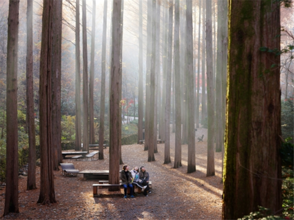 [집중모객]충청도 대전 당일여행 ＜지자제지원특가/장태산휴양림＞