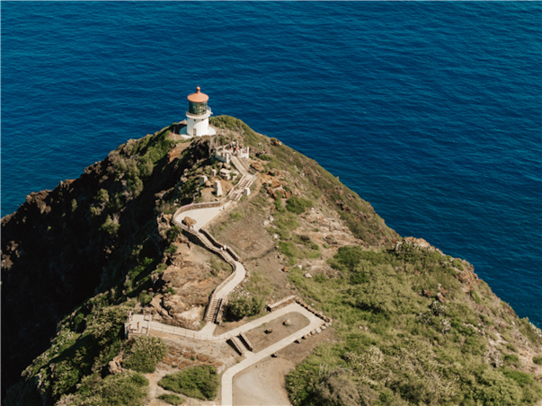 [스페셜][관광2일+자유3일] 일급 와이키키리조트 ＜시티뷰＞ 하와이 7일