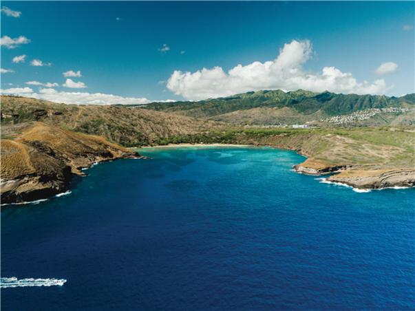 [스페셜][관광2일+자유3일] 일급 와이키키리조트 ＜시티뷰＞ 하와이 7일