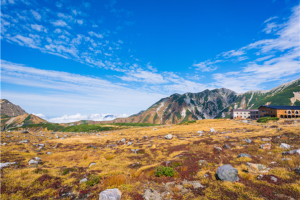 [실속/가을~겨울이오면~알펜루트] 나고야/가나자와/알펜루트 온천 4일(알펜루트횡단/시라카와고)