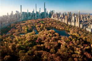 [비즈니스탑승 X 조성진 카네기홀 리사이틀] 클래식 읽어주는 남자와 함께 떠나는 뉴욕 클래식 문화 여행 7일＜맨하튼 숙박/브로드웨이 뮤지컬/도슨트 투어/오페라 관람＞