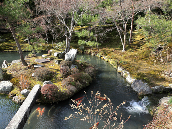 [미라클호] 오사카 럭셔리 크루즈 5일 ＜발코니스위트＞