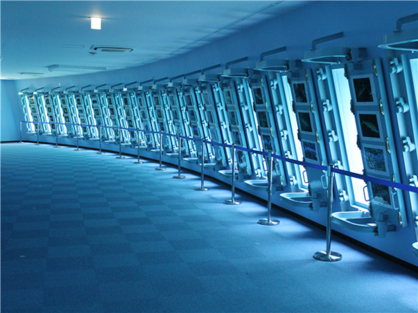 [연합][MSC 벨리시마호] 대만/일본 크루즈 6일 ＜타이페이/오키나와＞