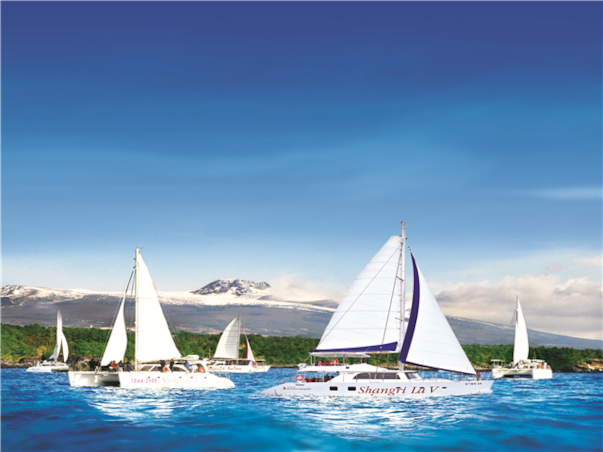 [4인출발] 제주 3일 ＜씨에스호텔/풀스위트/오션뷰독채/벤츠차량/아로마테라피/노쇼핑/노팁/노옵션＞