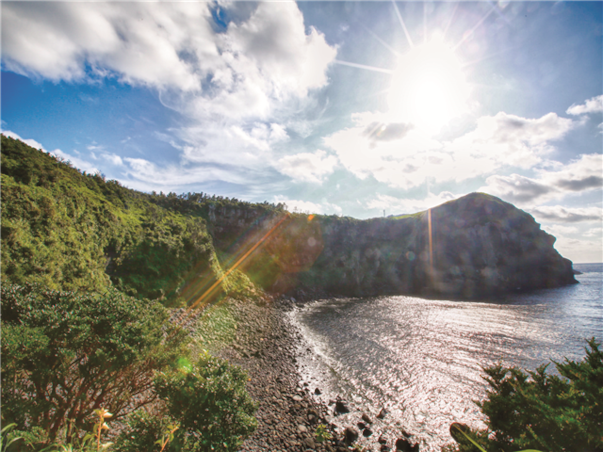 [광주출발][모두단독] 제주도 SNS핫플 3일 ＜노팁/노옵션/스누피가든/승마/4명부터출발확정＞