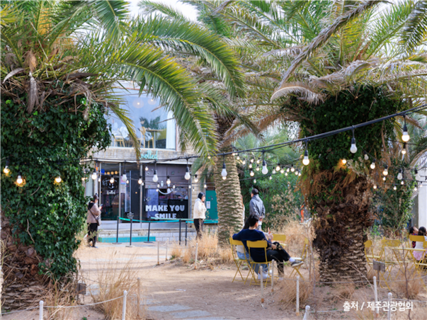 [부산출발][모두단독] 제주도 가족추천 3일 ＜노팁/노옵션/981파크/테마파크/4명부터출발확정＞