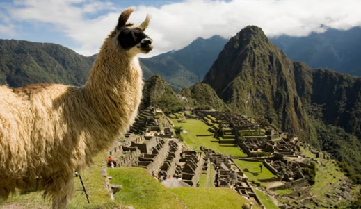 [하이클래스] 중남미 4개국 18일 