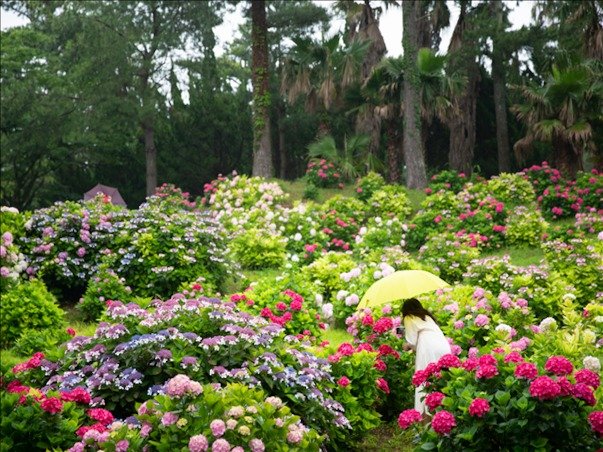 [이스타항공 특가] [힐링BEST] 펠롱펠롱 제주 3일 